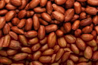 فول سوداني احمر محمص