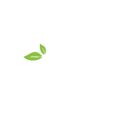 ٍسول Soul