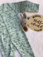 اوفرولات مواليد مذركير