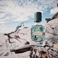 عطر ميجامير من اورتو باريسي 50 مل