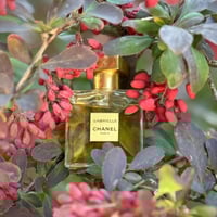 عطر شانيل غابرييل البارفيوم 100 مل