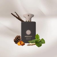 عطر اوبس 13 سلفر عود من امواج 100 مل