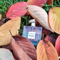 عطر شانيل غابرييل البارفيوم 100 مل (تستر)