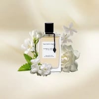 عطر فان كليف جاردينيا بيتال او دو بارفيوم 75 مل