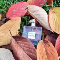 عطر شانيل غابرييل البارفيوم 100 مل