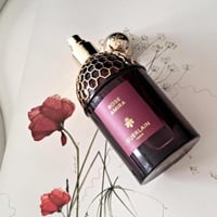 عطر ابسولس اليغوريا روز اميرا من جيرلان او دو بارف...