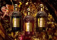 عطر ابسولو اليغوريا ايبيكس اكسكويز من جيرلان او دو...