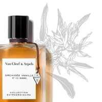 عطر اوركيد فانيلا من فان كليف او دو بارفيوم 75 مل...