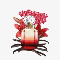 عطر بارادايسو اسولوتو الاحمر من روبرتو كفالي او دو...