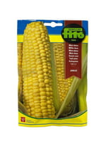 بذور ذرة حلوة فيتو