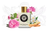 عطر شفارزلوز برلين روزا سينتيفوليا أو دو بارفيوم 1...