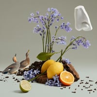 عطر بنهاليغونز بلو بيل أو دو تواليت 100 مل للنساء