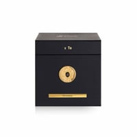 عطر تيزيانا تيرينزي خيميرا اكستريت دو بارفيوم 100م...