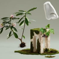 عطر بنهاليغونز دافني بوكيه أو دو بارفيوم 100 مل لل...