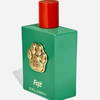 عطر دولتشي آند غابانا فيفيه 100 مل خالٍ من الكحول