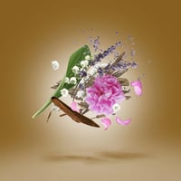 عطر زيرجوف ألكساندريا 2 بارفيوم 50مل (للجنسين)