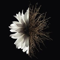 عطر جيفينشي لإينتردي أو دو برفيوم 80 مل للنساء