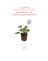 تلوين مركن نبتتك مع الزراعة- Paint and plant