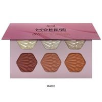 باليت الوجه الطبيعي اضاءة وبلاشر ميك اوفر22-M4001