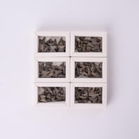 6 أوقيات عود تايقر