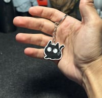 ميدالية “القط الأسود”