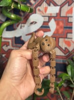 قرد الزينة المتسلّق