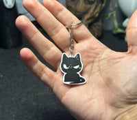 ميدالية “القط الأسود”