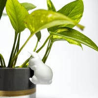 مجسم “أرنوب