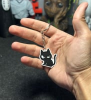 ميدالية “القط الأسود”