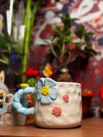 كوب “زهرة الصباح’’