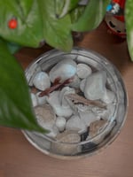 رفيقة الهدوء