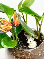 الفازا الزجاجية الدائرية – تنسيق نباتي