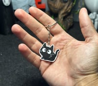 ميدالية “القط الأسود”