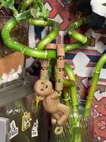 قرد الزينة المتسلّق