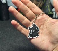 ميدالية “القط الأسود”