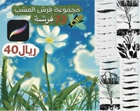 مجموعة فرش طبيعة في بروكريت