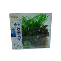 زولكس جالايا نباتات ديكور لحوض الاسماك