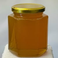 عسل سدر صافي