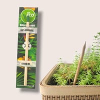 قلم رصاص خشبي قابل للزراعة (بعبارات عن العلم)