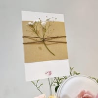 رقة ورد مع شوكولانة بستاني