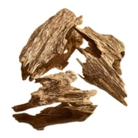 عود سيلاني سوبر ميني ودقة غابات آدم