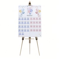 لوحة للكشف عن نوع المولود