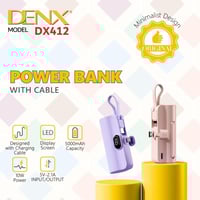 باور بانك متنقل بسعة 5000 امبير من دينكس