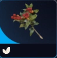 Candleberries-كاندل برس