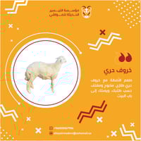 طلي حري كبير ناهي