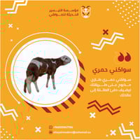 سواكني حمري كبير مرابي