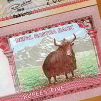 نيبال فئة 5 روبية أنسر