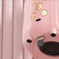 سبيكر مع مكرفونين لاسلكي ومدخل لذاكرة وبلوتوث مع ا...