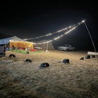 عقد لمبات على ولاعة السيارة 7 متر 20 واط DLC-32867