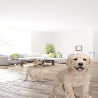 كاميرا مراقبة داخلية 360 درجة تدعم التتبع الذكي بد...